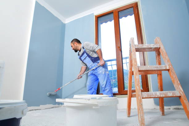 Best Black Mold Removal  in Gooding, ID