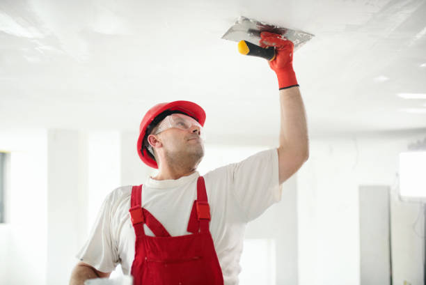 Best Residential Mold Inspection & Testing  in Gooding, ID
