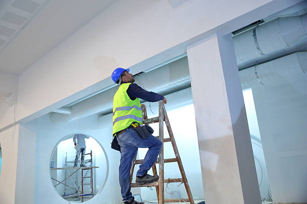 Best Post-Construction Mold Inspection  in Gooding, ID