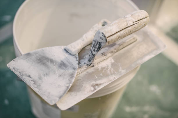 Best Forensic Mold Investigation  in Gooding, ID