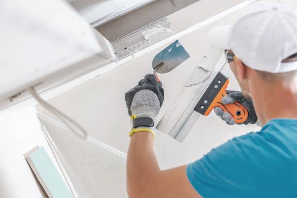 Best Crawl Space Mold Remediation  in Gooding, ID